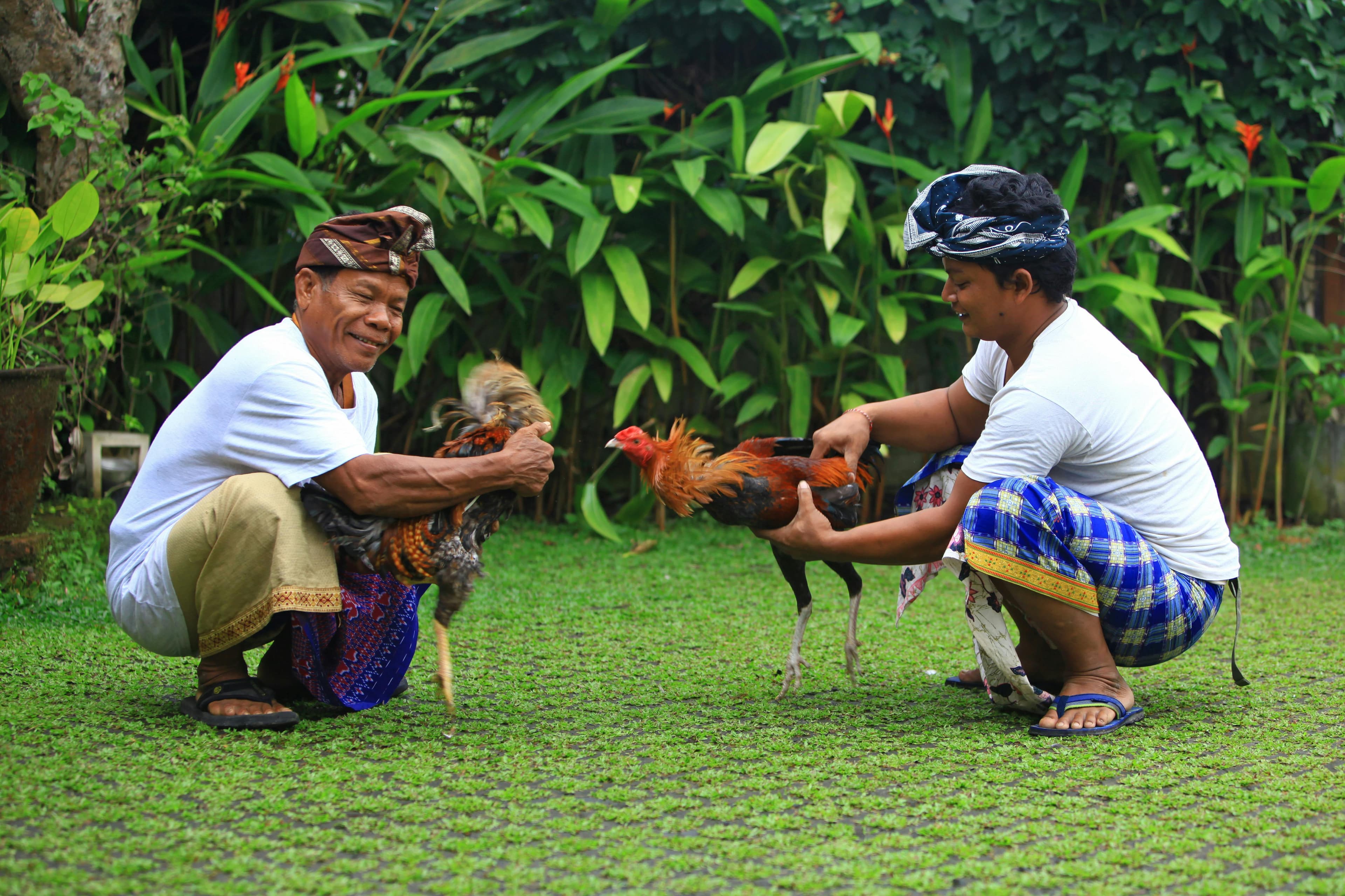 Ceremony Bali - event picture